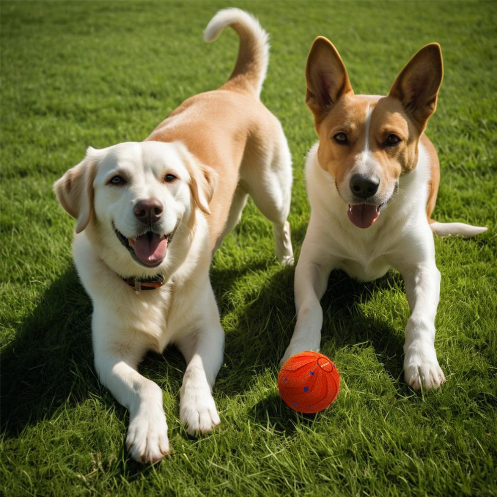 Automatic Moving Dog Ball - Balle intelligente pour chien, résistante aux
