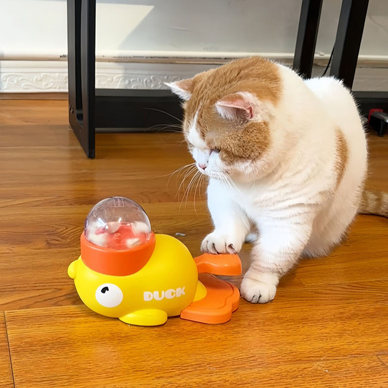 Distributeur interactif de fri - Dog Puzzle Feeder Toy avis et prix