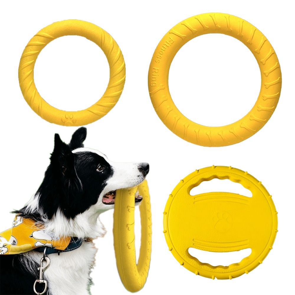 Ensemble de jouets d'extérieur - Flying Disc Dog Training Toy avis et prix