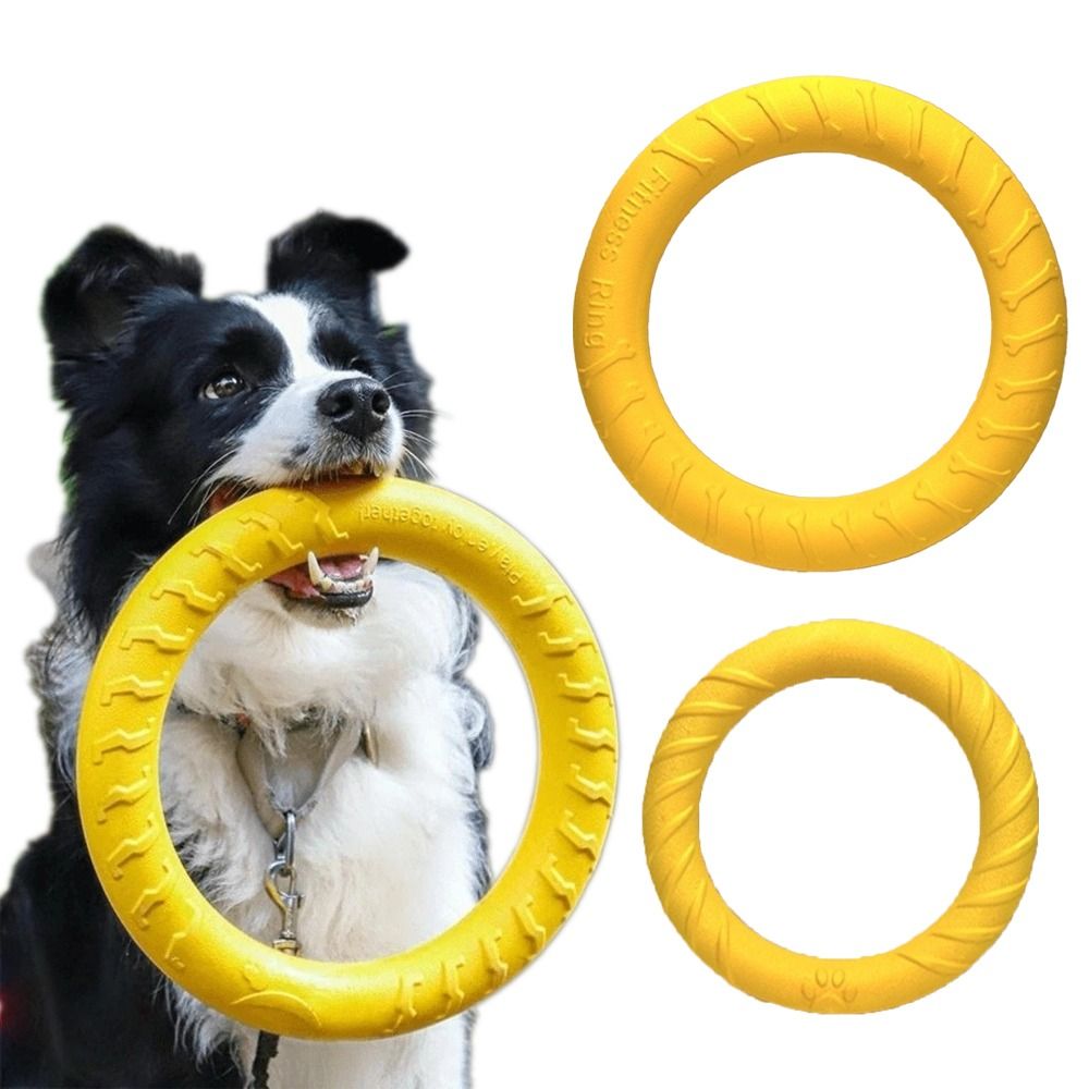 Ensemble de jouets d'extérieur - Flying Disc Dog Training Toy avis et prix