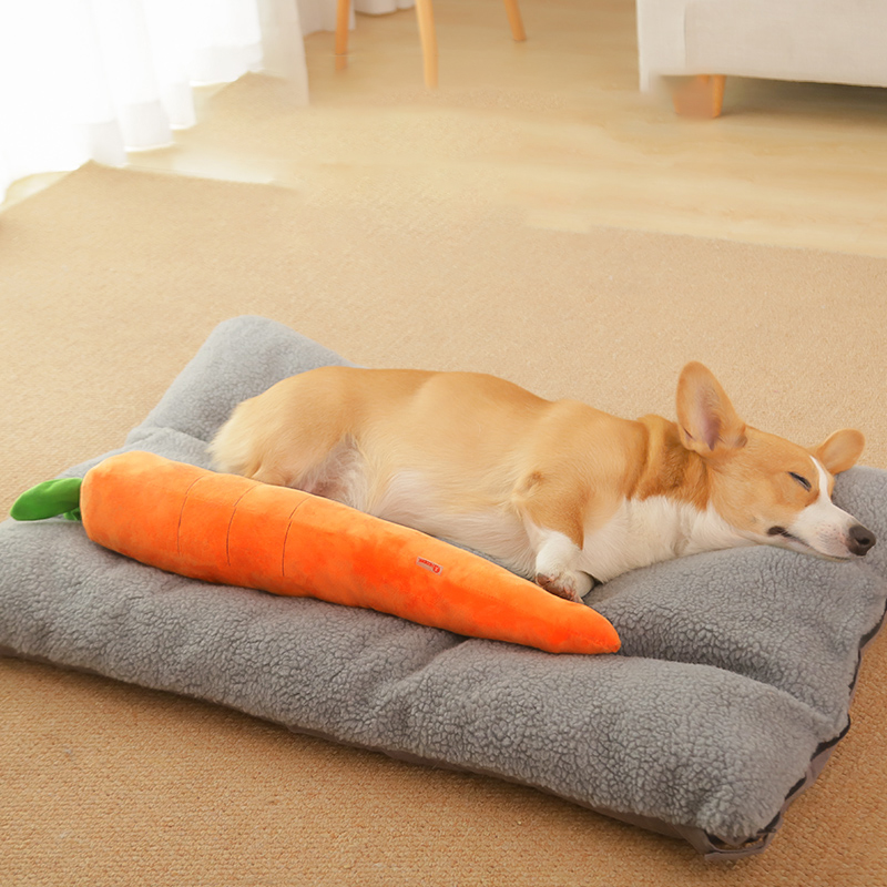 HOOPET chien jouet animal de c - Indestructible Dog Chew Toy avis et prix