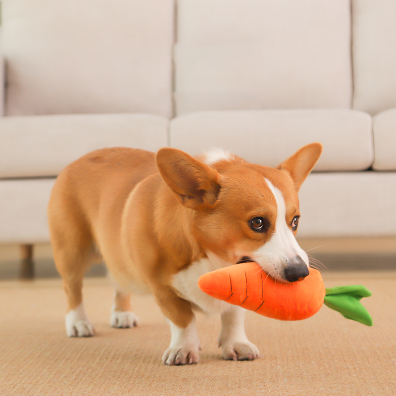 HOOPET chien jouet animal de c - Indestructible Dog Chew Toy avis et prix