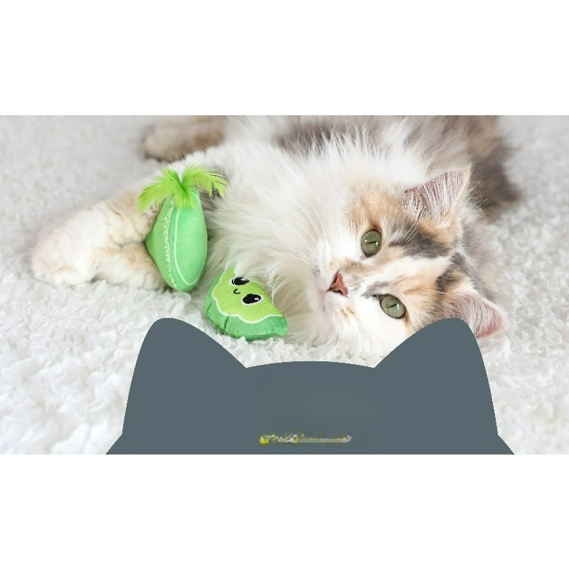 Jouet interactif en peluche po - Catnip Interactive Plush Mouse avis et prix