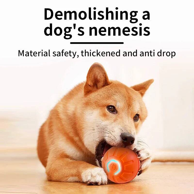 Balle de jeu intelligente pour - Indestructible Dog Chew Toy avis et prix